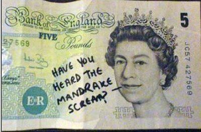 How to ruin money bills (18 photos)