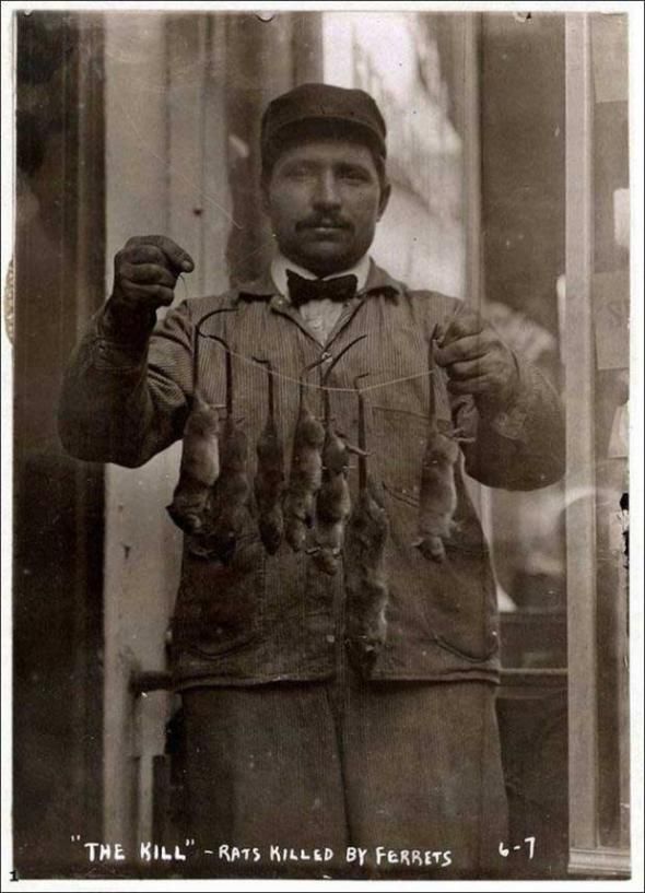 USA 100 years ago (36 photos)