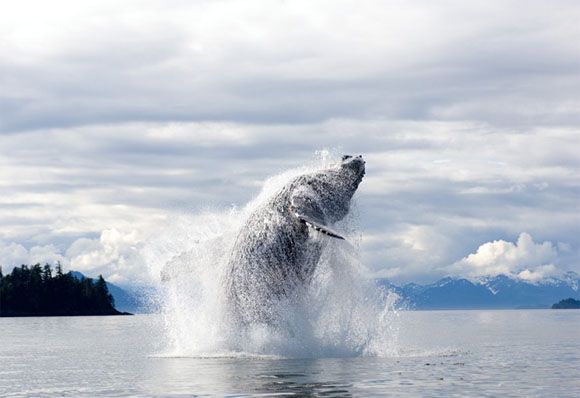 Ocean (21 photos)