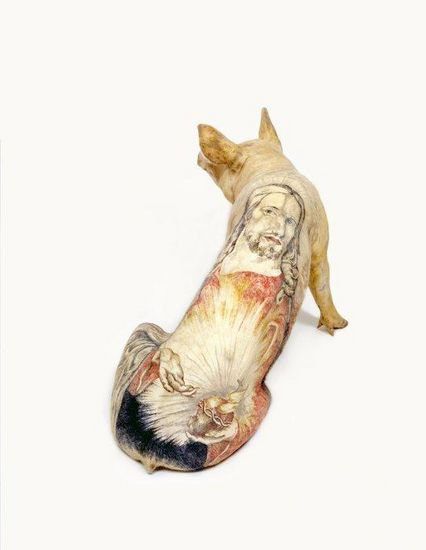 Tattooed pigs (26 photos)