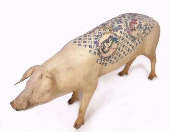 Tattooed pigs (26 photos)