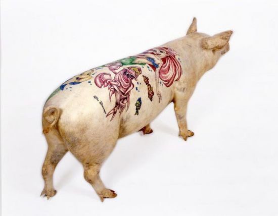 Tattooed pigs (26 photos)