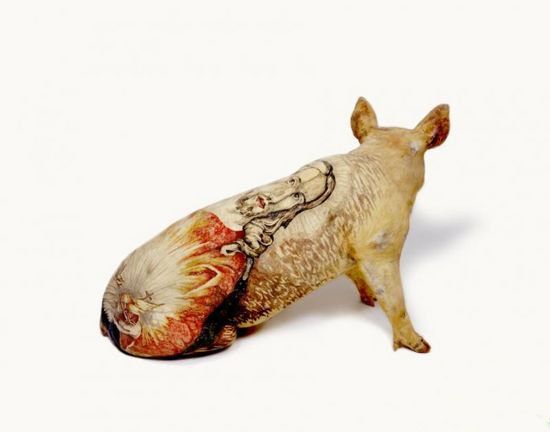 Tattooed pigs (26 photos)