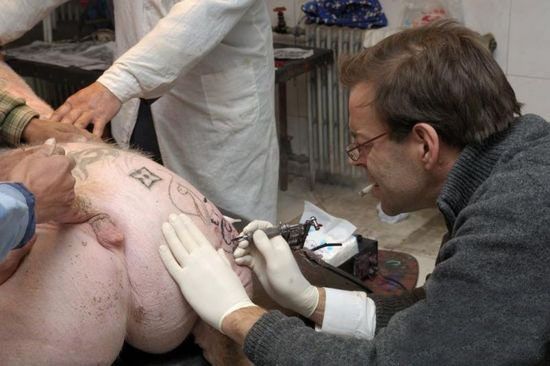 Tattooed pigs (26 photos)
