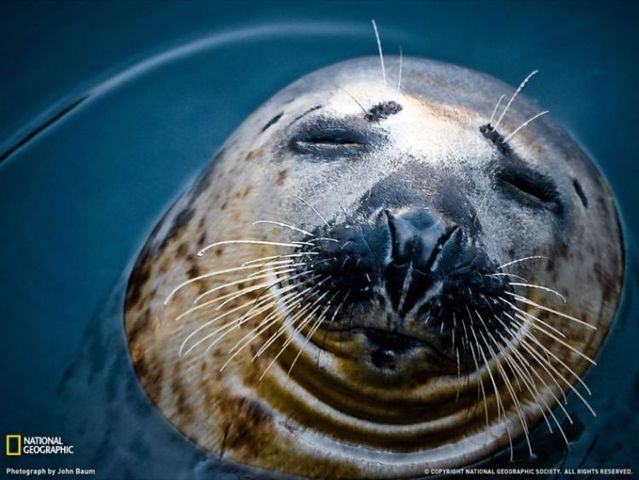 Best pictures from National Geographic (32 photos)