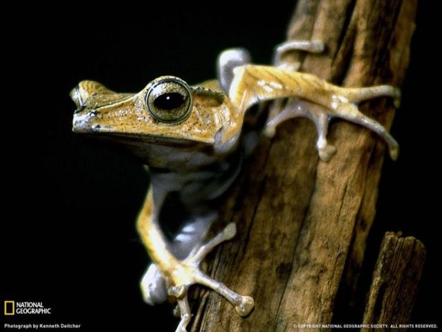 Best pictures from National Geographic (32 photos)