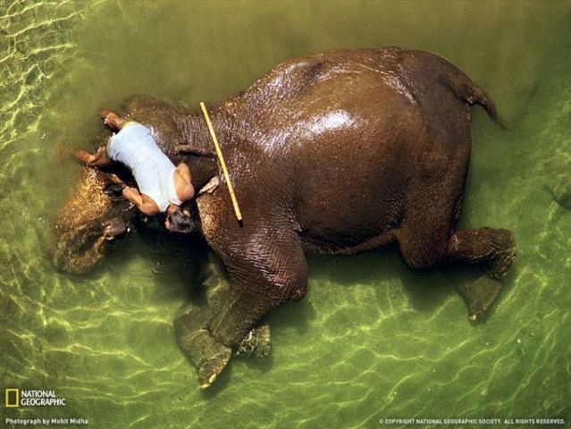 Best pictures from National Geographic (32 photos)