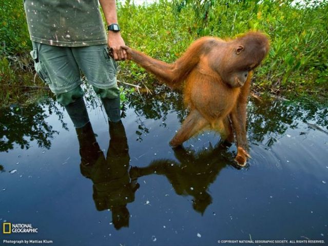 Best pictures from National Geographic (32 photos)