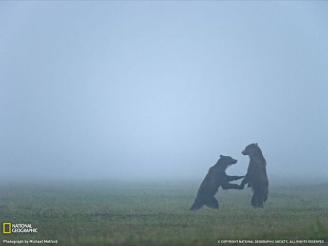 Best pictures from National Geographic (32 photos)