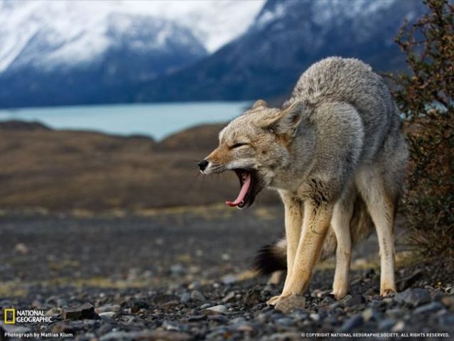 Best pictures from National Geographic (32 photos)
