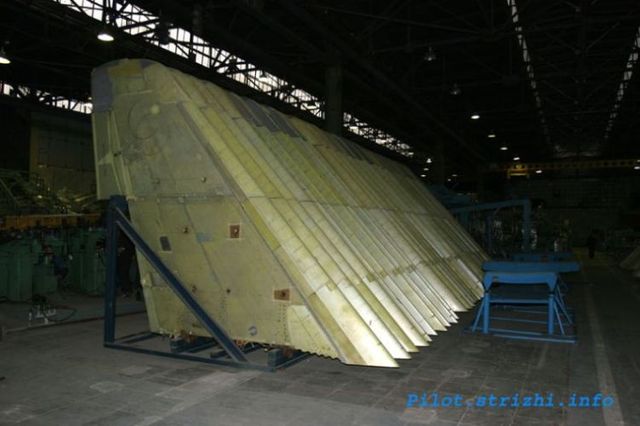 MiG-29 construction (19 photos)