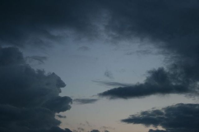 Bear in the sky (12 photos)