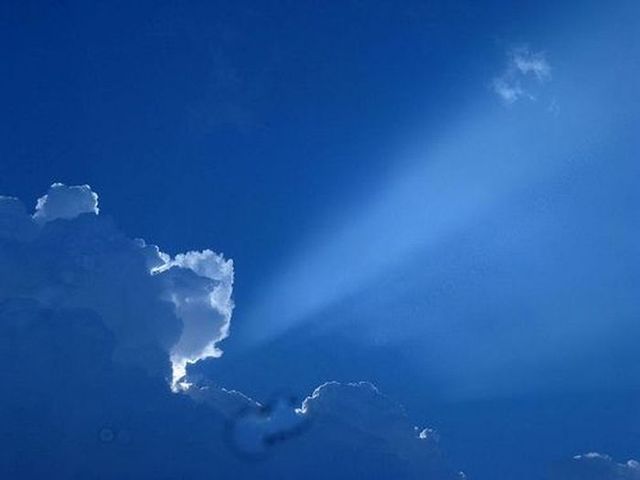 Bear in the sky (12 photos)