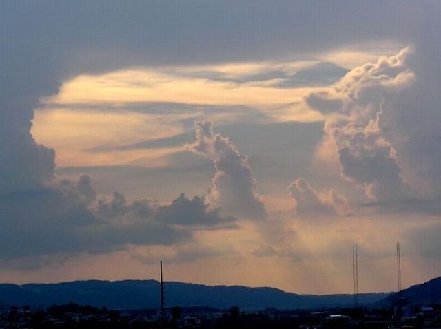 Bear in the sky (12 photos)