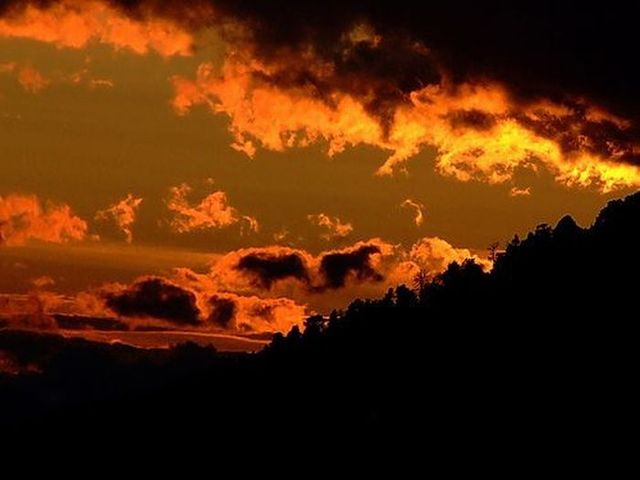 Bear in the sky (12 photos)
