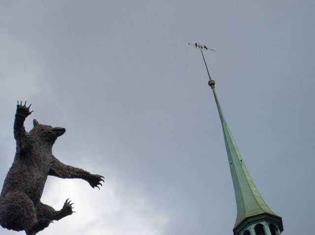 Bear in the sky (12 photos)
