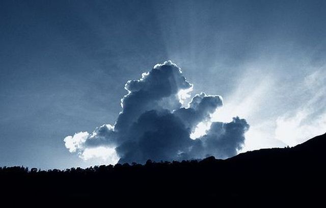 Bear in the sky (12 photos)