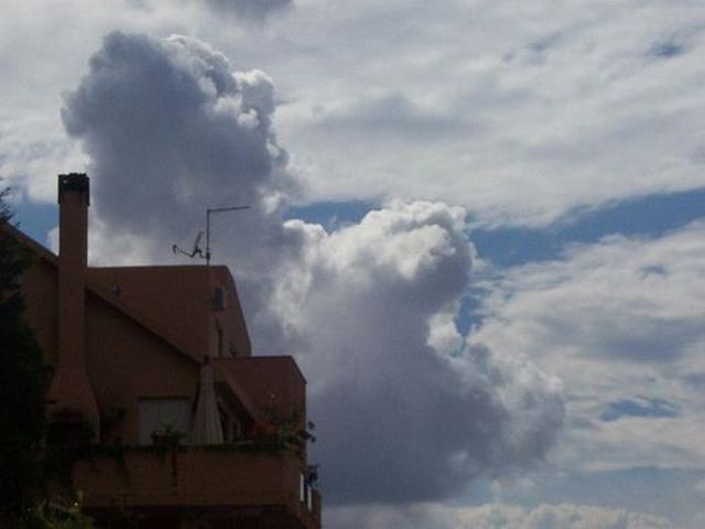 Bear in the sky (12 photos)