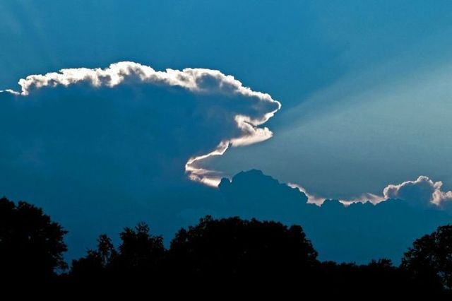 Bear in the sky (12 photos)