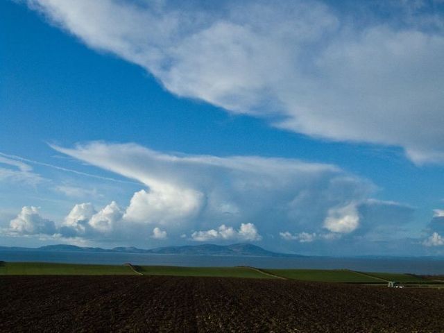 Bear in the sky (12 photos)