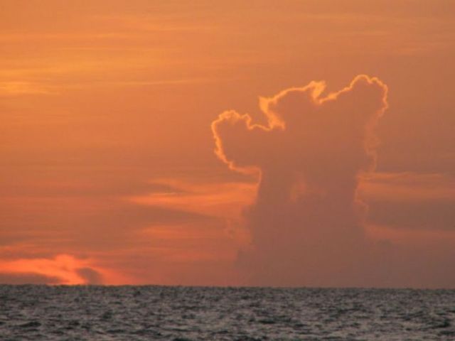 Bear in the sky (12 photos)