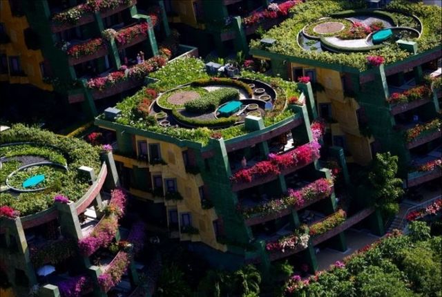 Beautiful pictures made from above (40 photos)