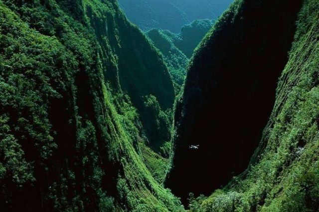 Beautiful pictures made from above (40 photos)