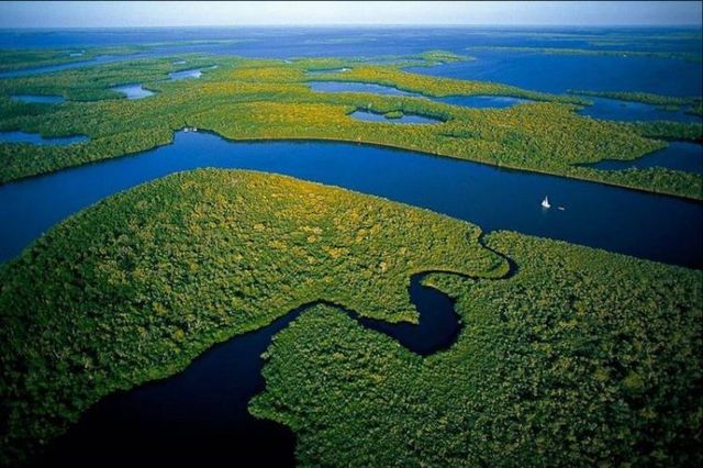 Beautiful pictures made from above (40 photos)