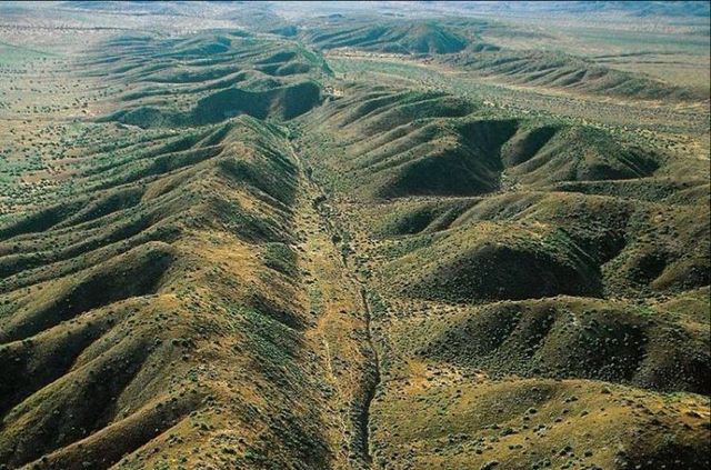 Beautiful pictures made from above (40 photos)