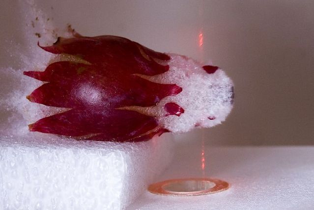 Great shots made in the moment of explosion of different objects by bullets (26 photos)