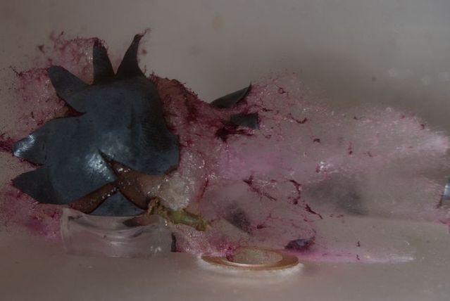 Great shots made in the moment of explosion of different objects by bullets (26 photos)