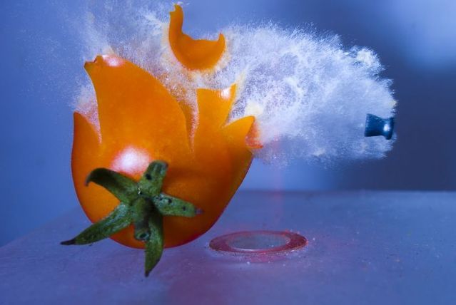 Great shots made in the moment of explosion of different objects by bullets (26 photos)