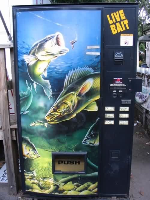 We can buy anything in vending machines (17 photos)
