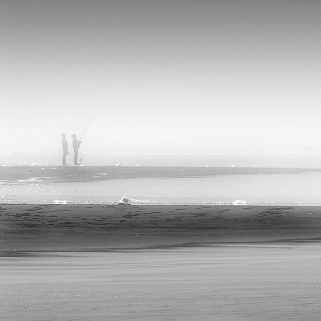 Beautiful selection of monochrome photos (37 photos)