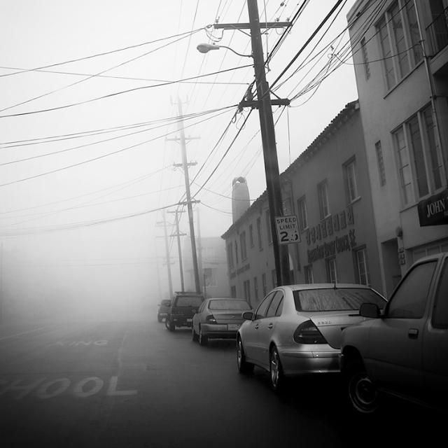 Beautiful selection of monochrome photos (37 photos)