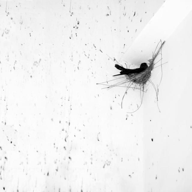 Beautiful selection of monochrome photos (37 photos)