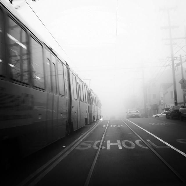 Beautiful selection of monochrome photos (37 photos)