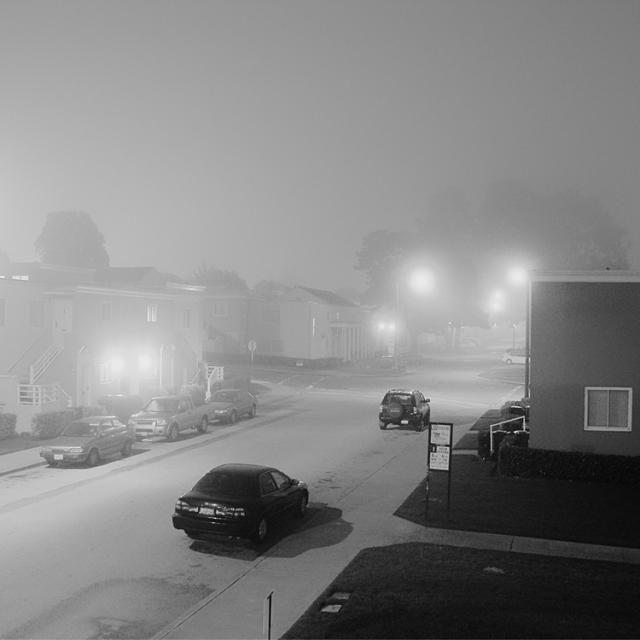 Beautiful selection of monochrome photos (37 photos)