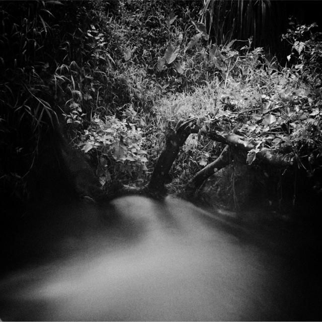 Beautiful selection of monochrome photos (37 photos)