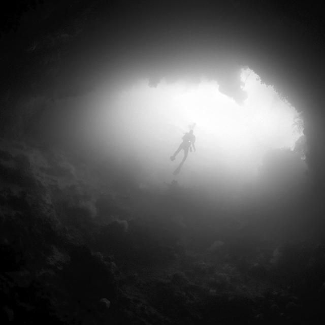 Beautiful selection of monochrome photos (37 photos)