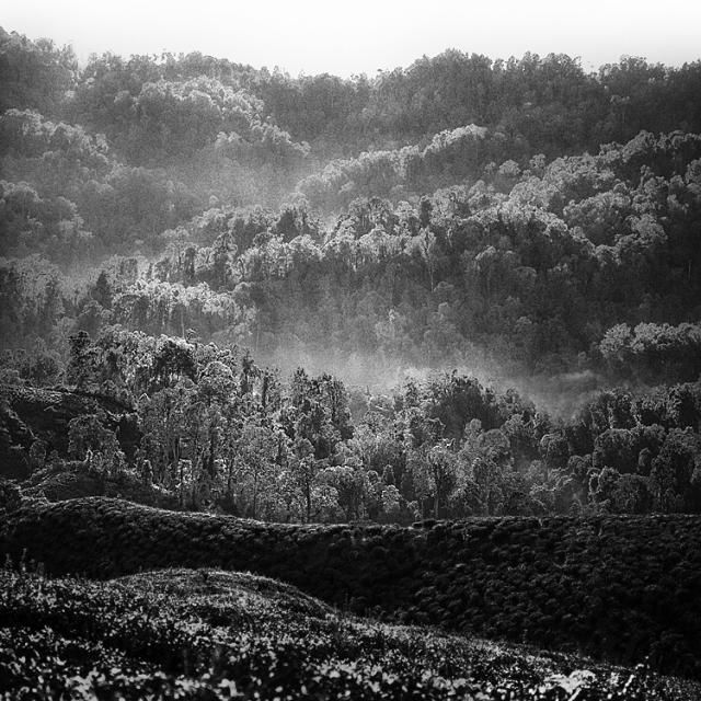 Beautiful selection of monochrome photos (37 photos)