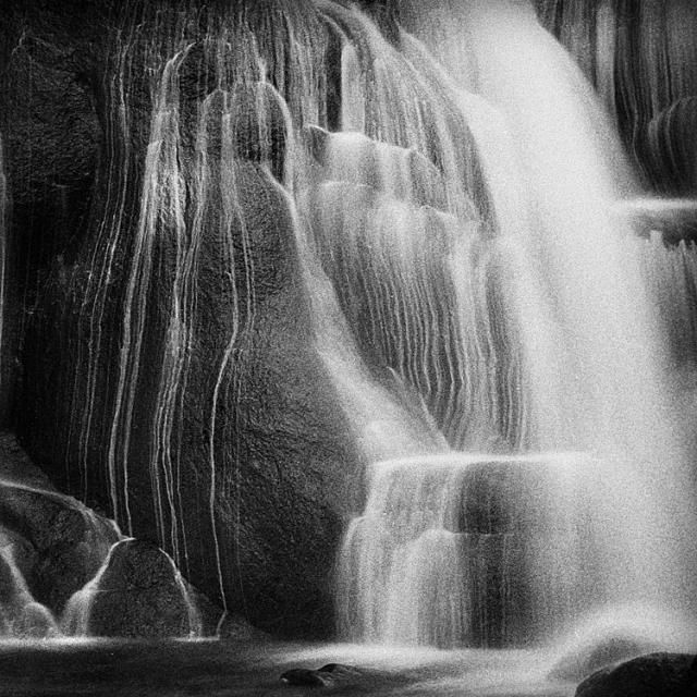 Beautiful selection of monochrome photos (37 photos)