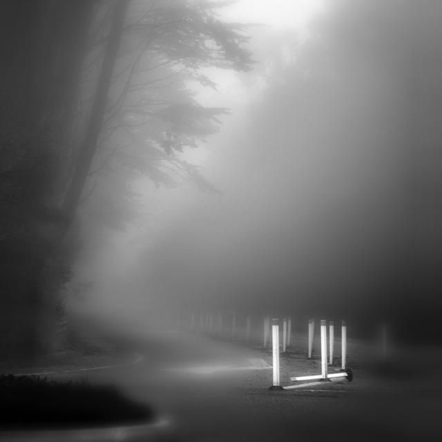 Beautiful selection of monochrome photos (37 photos)