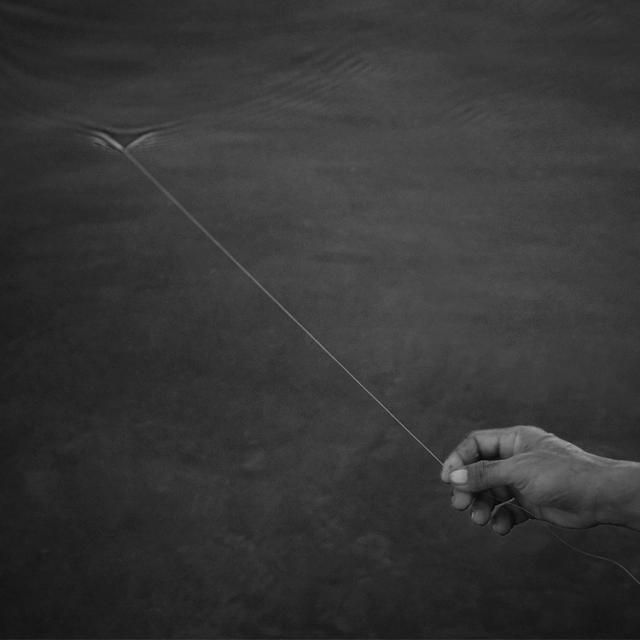 Beautiful selection of monochrome photos (37 photos)