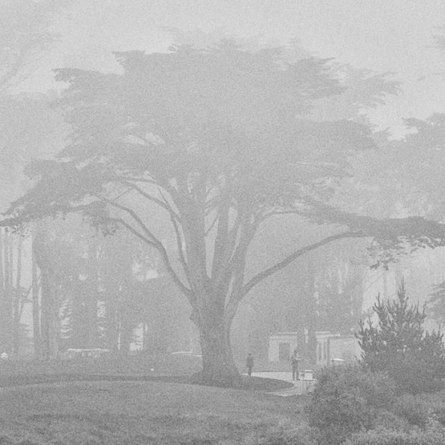 Beautiful selection of monochrome photos (37 photos)