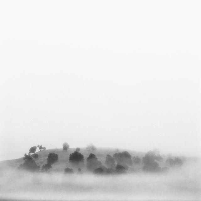 Beautiful selection of monochrome photos (37 photos)