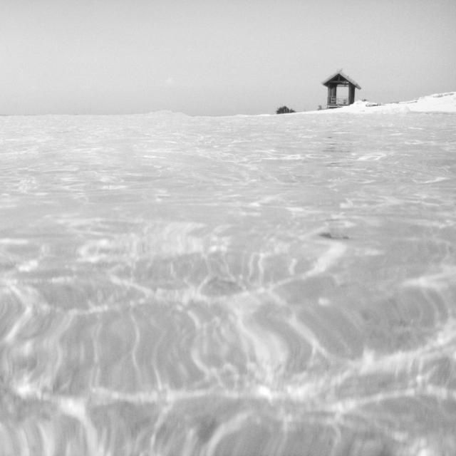 Beautiful selection of monochrome photos (37 photos)