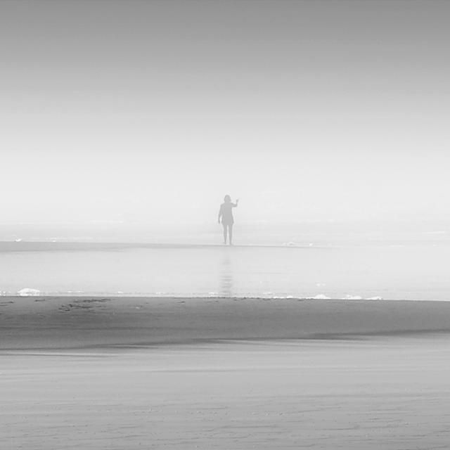 Beautiful selection of monochrome photos (37 photos)