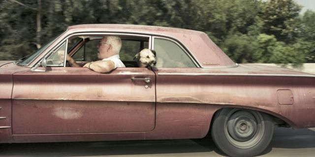 Great series of pictures : Americans behind the wheel (40 photos)