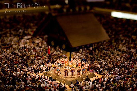World of little people. Great pictures done with a tilt-shift technique (60 photos)
